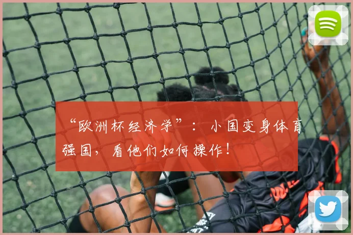 “欧洲杯经济学”：小国变身体育强国，看他们如何操作！